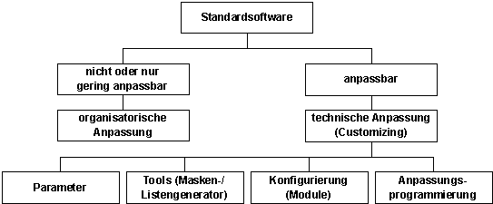 Vor- und Nachteile beim Einsatz von Standardsoftware
